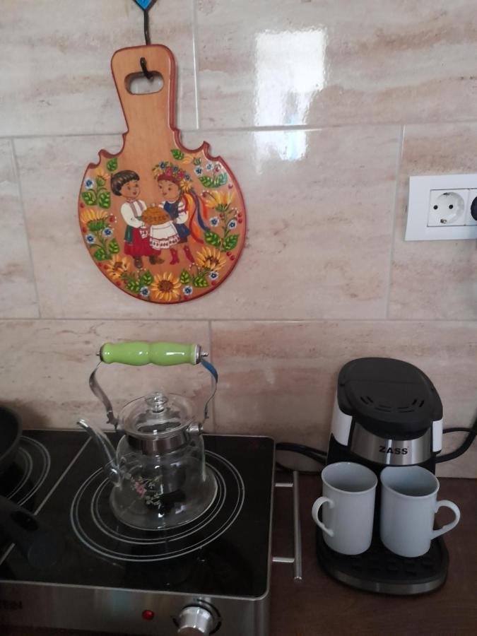 Skyline Central Apartment Timisoara Luaran gambar