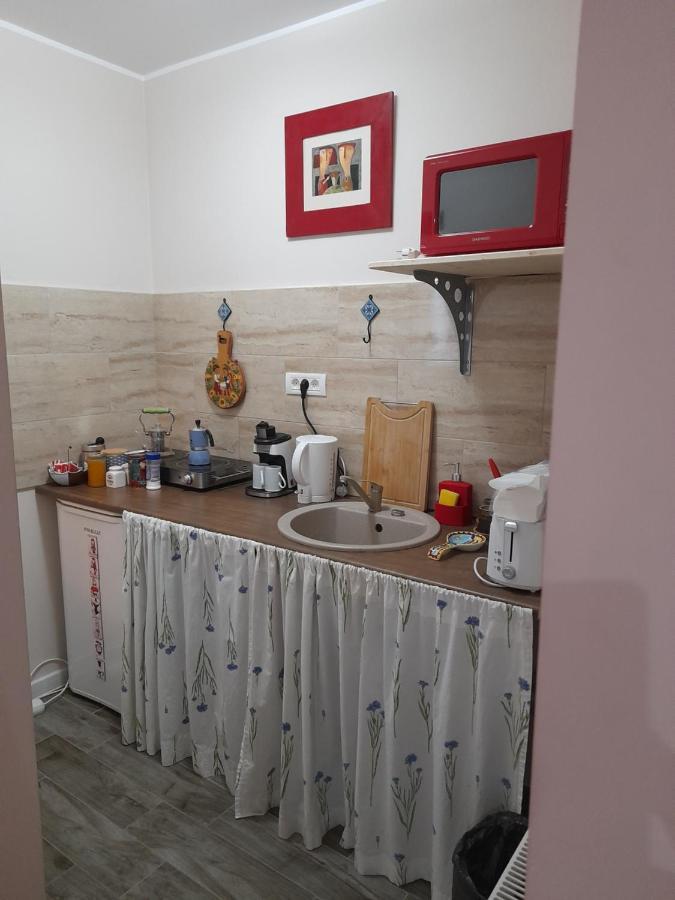 Skyline Central Apartment Timisoara Luaran gambar
