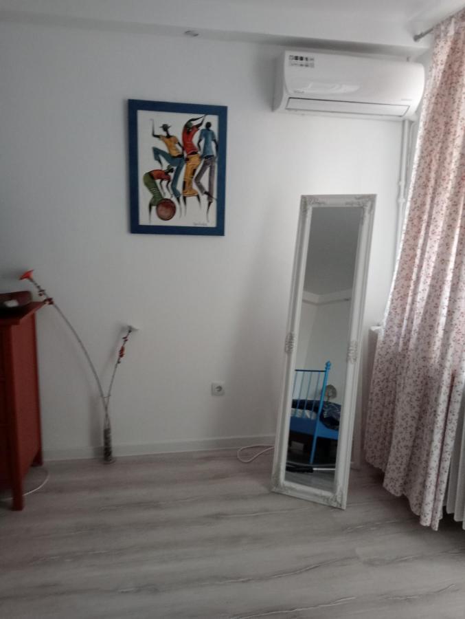 Skyline Central Apartment Timisoara Luaran gambar