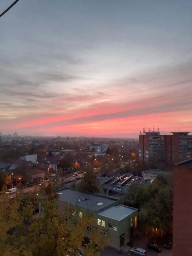 Skyline Central Apartment Timisoara Luaran gambar