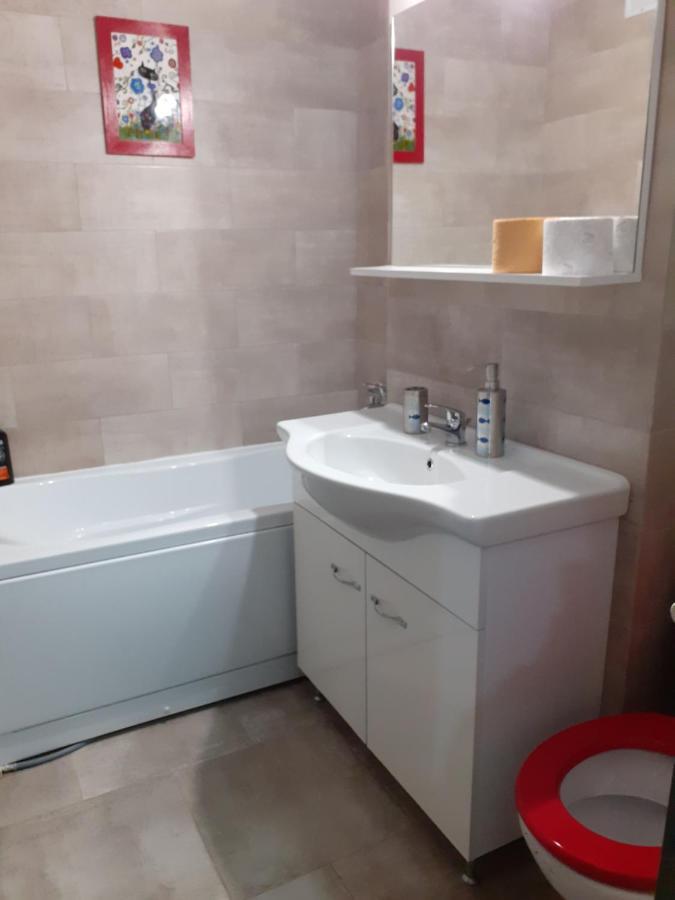 Skyline Central Apartment Timisoara Luaran gambar