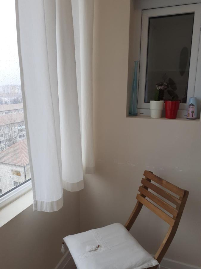 Skyline Central Apartment Timisoara Luaran gambar